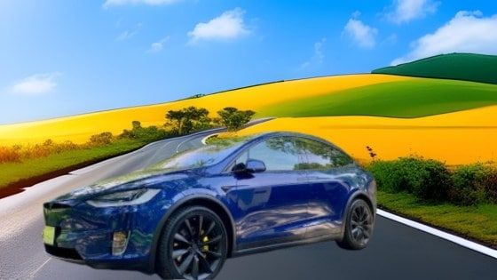 harry styles Tesla X 2019 4